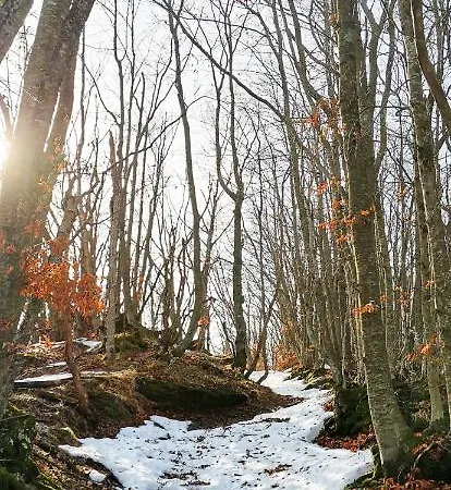 Апарт-отель Granchalet Sul Cimone 103 Монтекрето