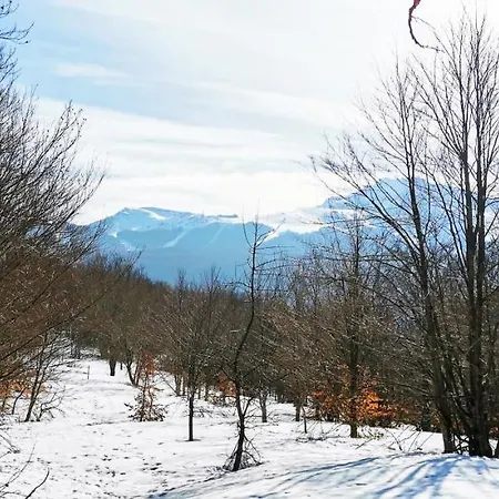 Granchalet Sul Cimone 103 3*