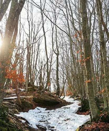 Lejlighedshotel Granchalet Sul Cimone 103 Montecreto